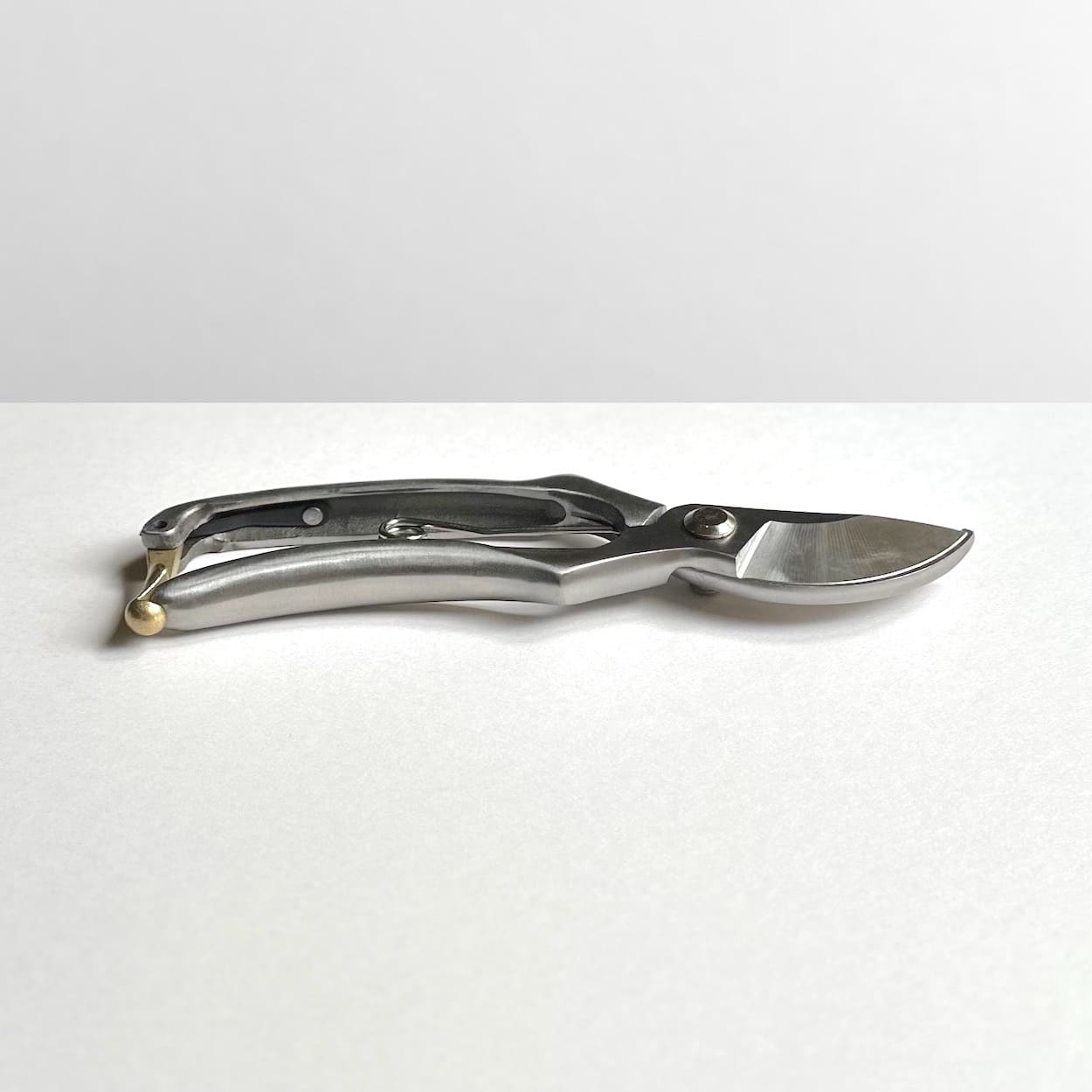Stainless Steel Secateurs
