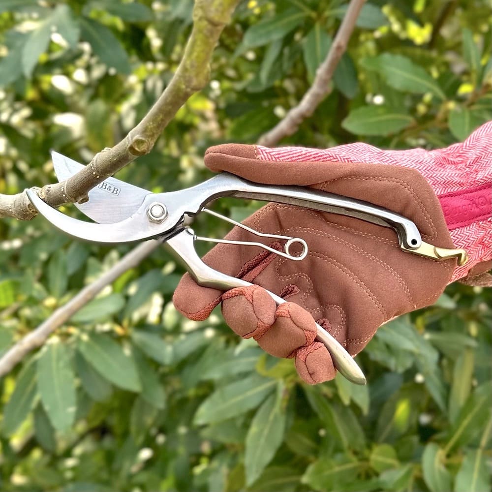 Stainless Steel Secateurs