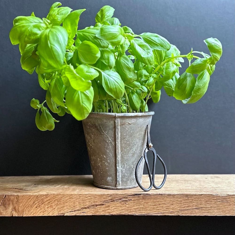 Tapered Zinc Flowerpot - Small
