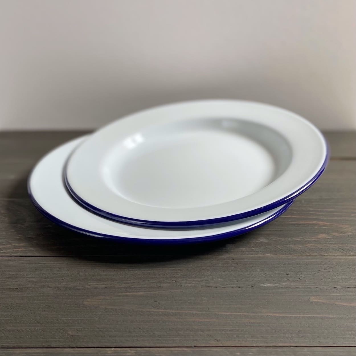 Pair of Blue Rimmed White Enamel Dinner Plates