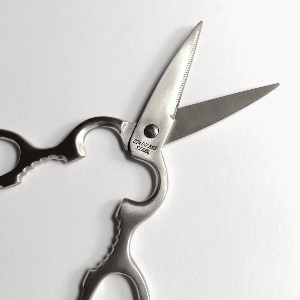 Classic Kitchen Scissors