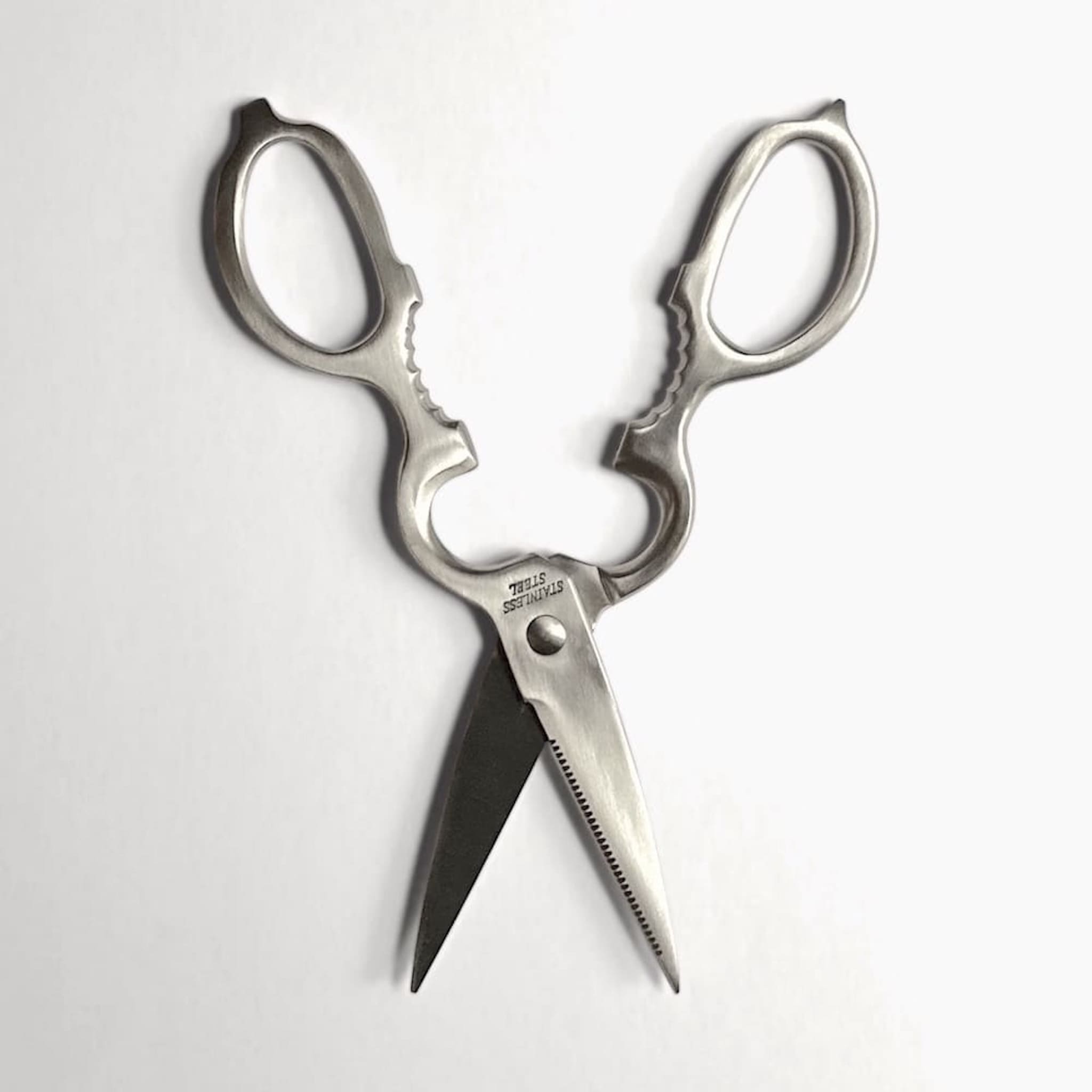 Pair of stainless steel scissors on a white background