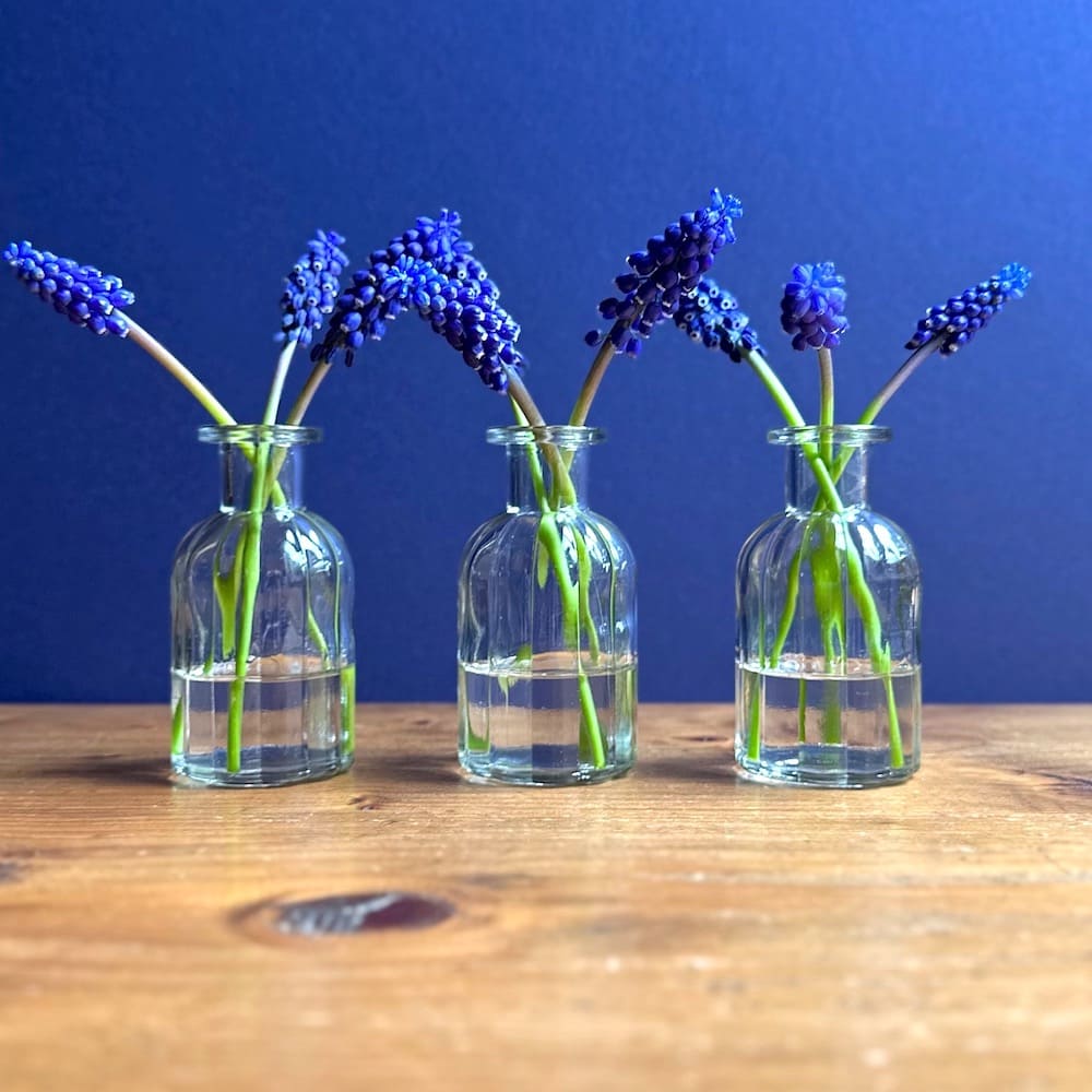 Trio of Small Ribbed Bottle Vases